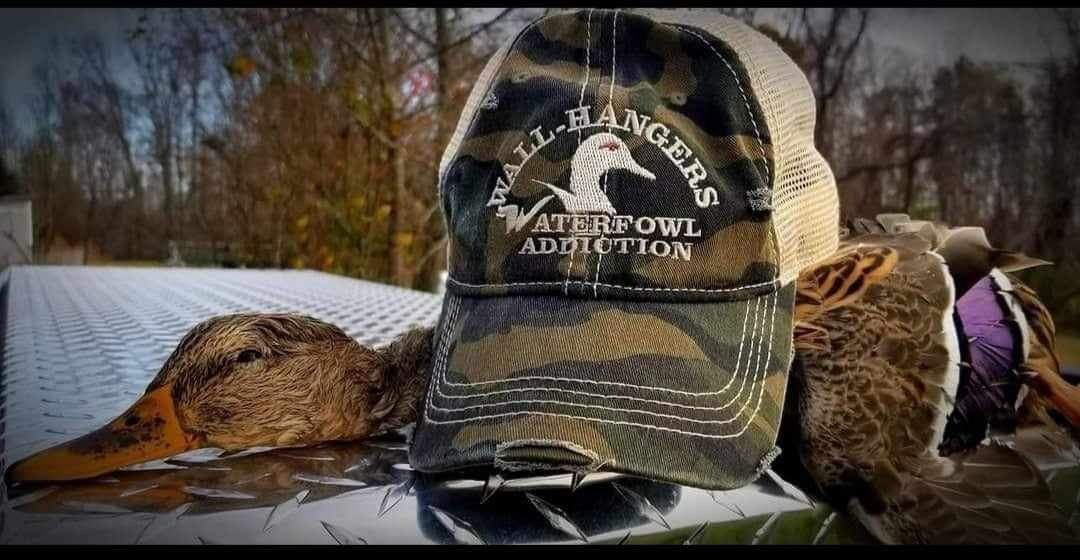 Virginia Wall Hangers Waterfowl