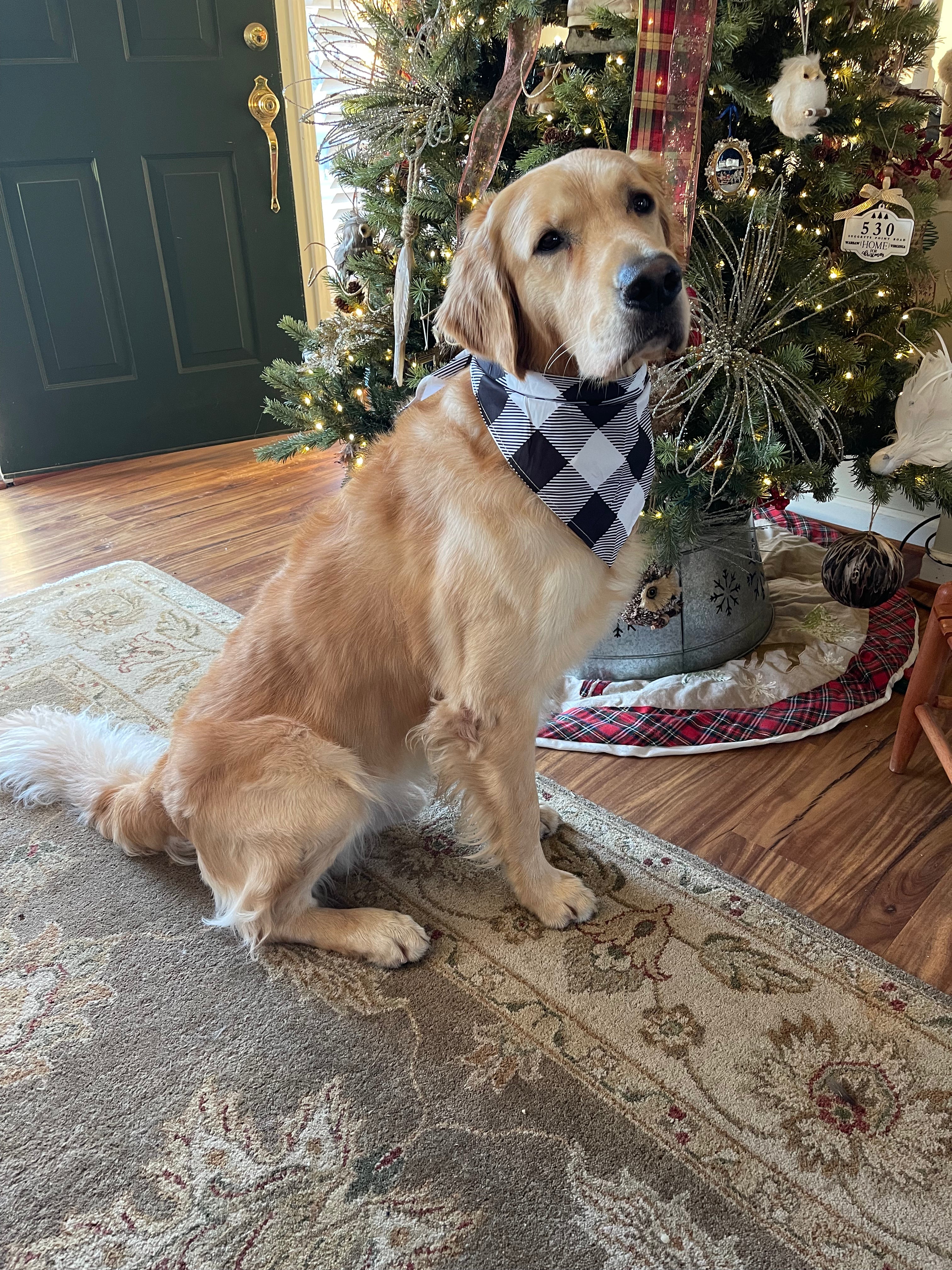 Pet christmas bandanas deals